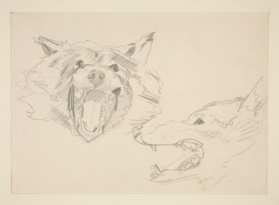 Zwei Ansichten eines Wolfes von John Singer Sargent