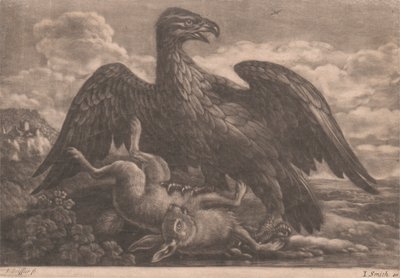 Adler und Hase von John Smith