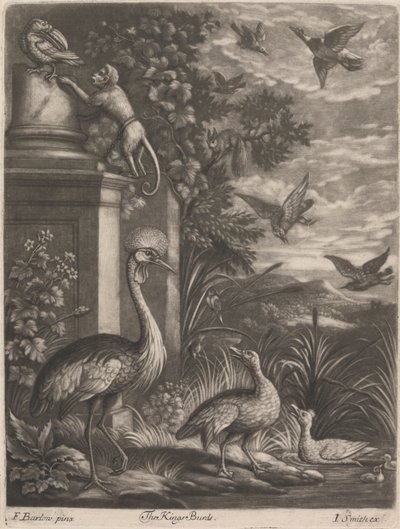 Die Vögel des Königs von John Smith
