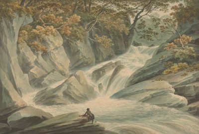 Hafod: Oberer Teil des Wasserfalls von John Warwick Smith