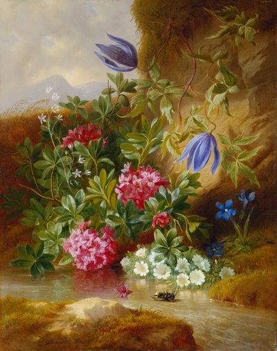 Alpenblume von Josef Schuster
