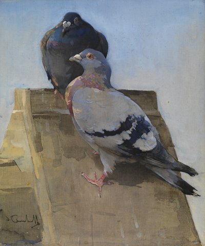 Tauben auf dem Dach von Joseph Crawhall