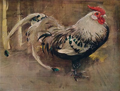 Der gesprenkelte Hahn, 1903 1935 von Joseph Crawhall