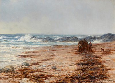 Sammeln von Kelp von Joseph Henderson