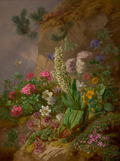 Alpenblumen von Joseph Schuster