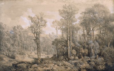 Australischer Wald von Joseph Selleny