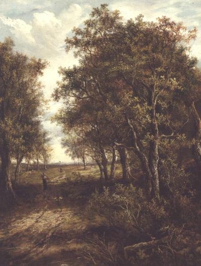 Eine Lichtung im Wald von Joseph Thors