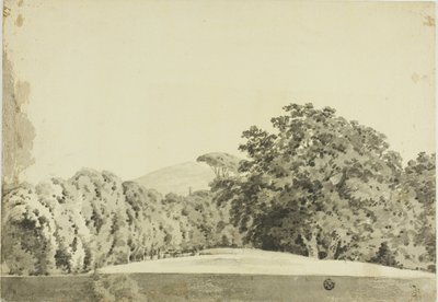 Waldlandschaft von Joseph Wright of Derby