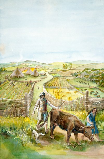Ländliche Landschaft, 2000 v. Chr., ca. 1990-2010 von Judith Dobie