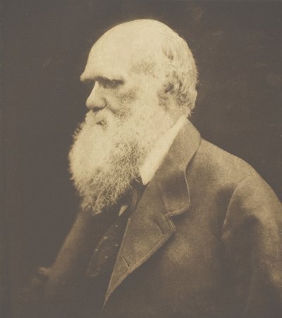 Charles Darwin, 1868, gedruckt ca. 1893 von Julia Margaret Cameron