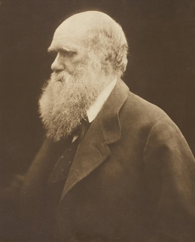 Charles Darwin, ca. 1868, gedruckt 1875 von Julia Margaret Cameron