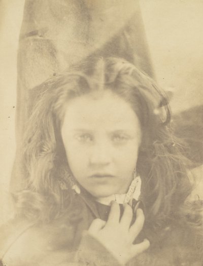 Gänseblümchen von Julia Margaret Cameron