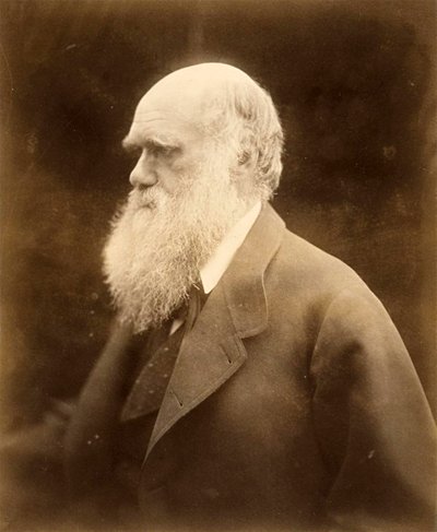 Porträt von Charles Darwin, 1868 von Julia Margaret Cameron