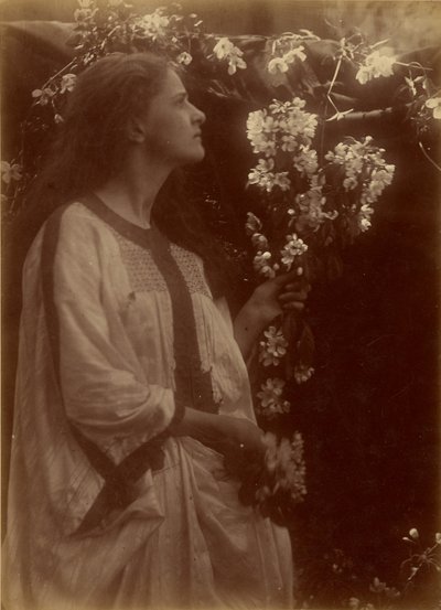 [Frühling] von Julia Margaret Cameron