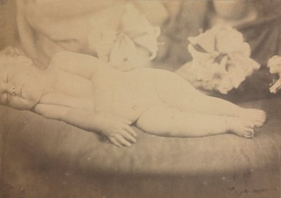 Die Lilie und das Lamm von Julia Margaret Cameron