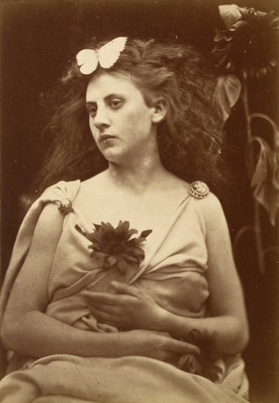 Die Sonnenblume von Julia Margaret Cameron