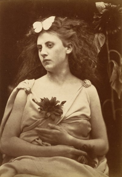 Die Sonnenblume, frühe 1870er von Julia Margaret Cameron