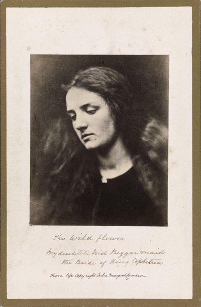 Die Wildblume von Julia Margaret Cameron