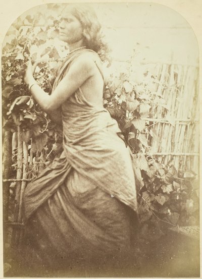 Frau, Ceylon, 1875-79 von Julia Margaret Cameron