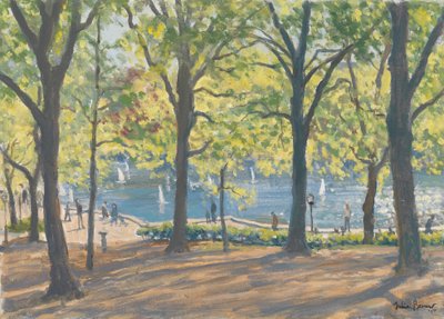 Central Park, New York von Julian Barrow