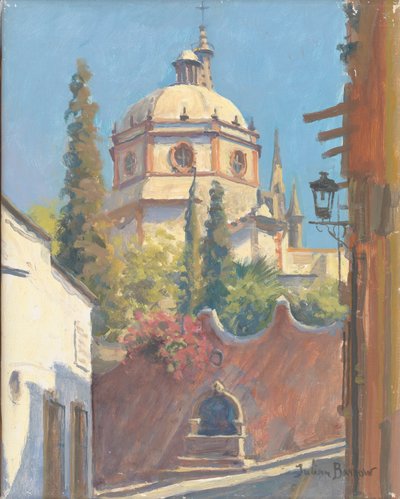 San Miguel Allende, 2005 von Julian Barrow