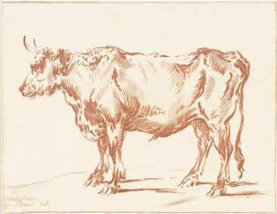 Stehender Ochse von Jurriaan Cootwijck