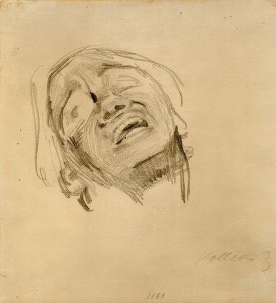 Frauenkopf von Käthe Kollwitz