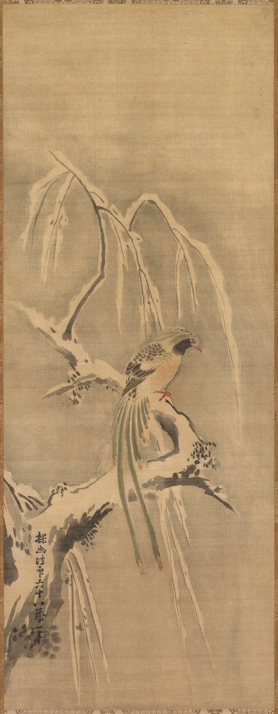 Chinesischer Vogel auf schneebedecktem Ast, 17. Jahrhundert von Kanō Tan’yū