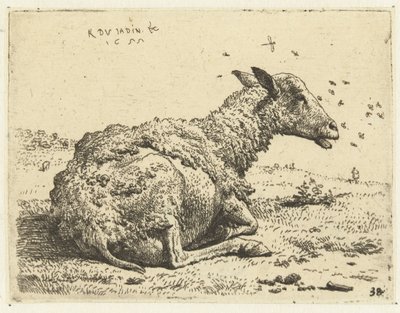 Liegendes Schaf mit Fliegen von Karel Du Jardin
