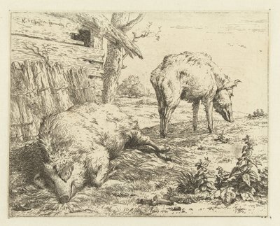 Zwei Schweine von Karel Du Jardin