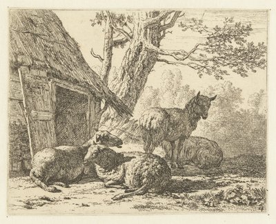Vier Schafe von Karel Du Jardin