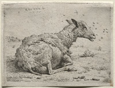 Die Schafe und die Fliegen von Karel Dujardin