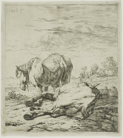 Zwei Pferde von Karel Dujardin