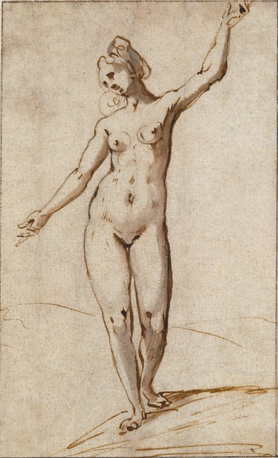 Weiblicher Akt von Karel Van Mander