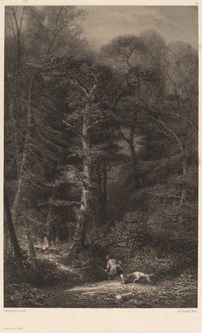 Waldinneres von Karl Bodmer