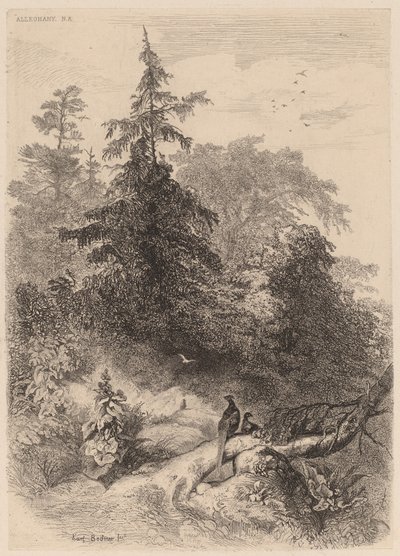 Die Fasane von Karl Bodmer