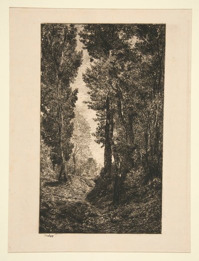 Route montante à Auvers von Karl Daubigny