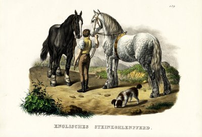 Englisches Grubenpferd, 1824 von Karl Joseph Brodtmann