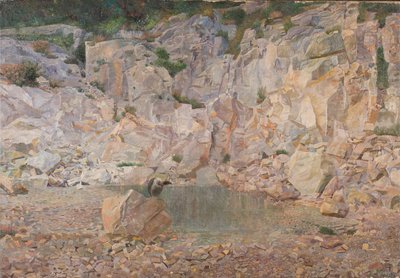 Der Geier im Felsengestein von Karl Mediz