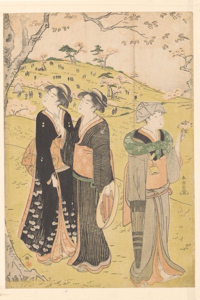 Bewundern der Kirschblüte in Asukayama von Katsukawa Shuncho