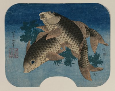 Karpfen schwimmen bei Wasserpflanzen von Katsushika Hokusai