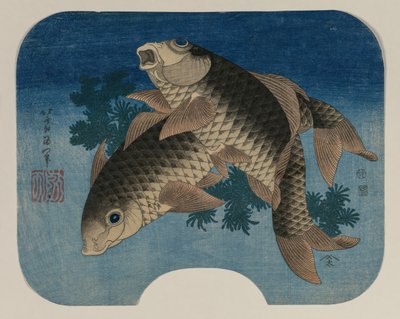 Karpfen schwimmen bei Wasserpflanzen, 1831 von Katsushika Hokusai