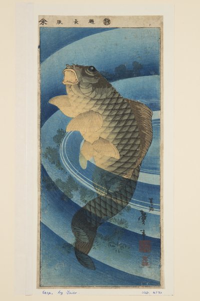 Karpfen von Katsushika II (fl.1820 50) Taito