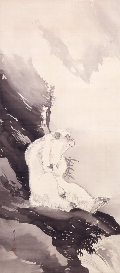 Weißer Affe von Kawabata Gyokushō