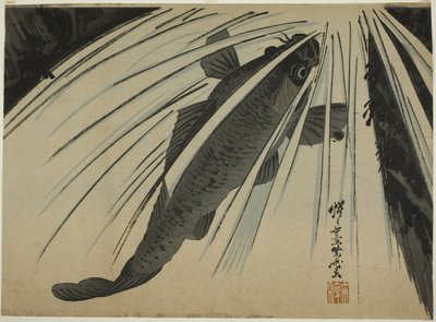 Karpfen, der Wasserfälle hinaufsteigt von Kawanabe Kyosai