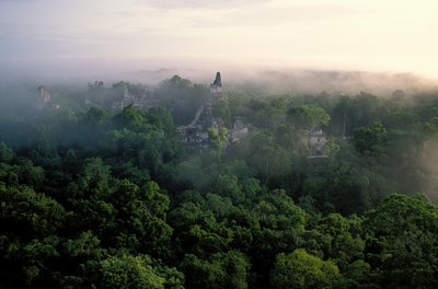Maya; Tikal; Guatemala von Kenneth Garrett