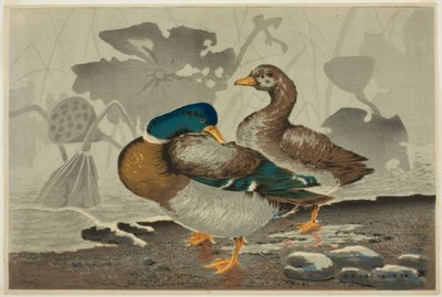 Ein Enten-Paar an einem Lotosteich von Kiyochika Kobayashi