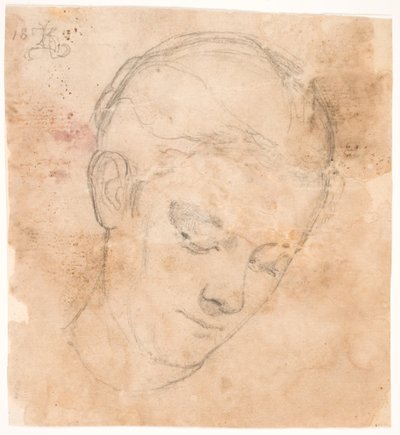 Die Schwester des Künstlers Elizabeth. 3/4 Profil nach rechts von Kristian Zahrtmann