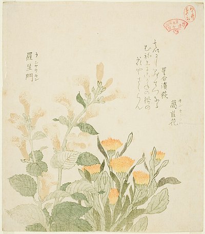 Die Gemeine Ringelblume und Die Rajoman-Blumen von Kubo Shunman