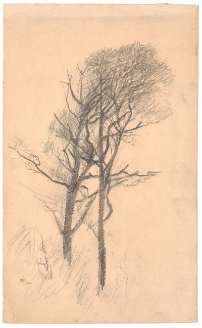 Zwei Bäume mit niedrigem Unterholz von Laurits Andersen Ring